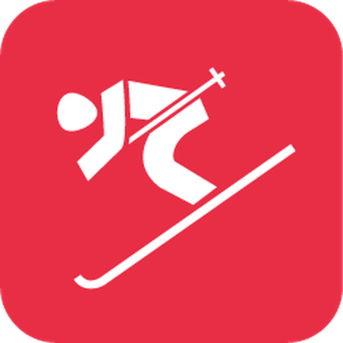 Icon Ski