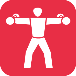Icon Fitness / Gesundheit