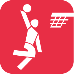 Piktogramm Basketball