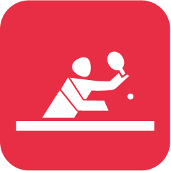 Icon Tischtennis