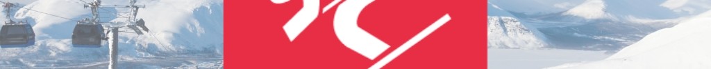 Icon Ski