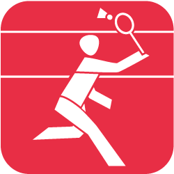 Icon Badminton