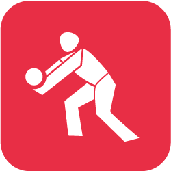 Icon Volleyball