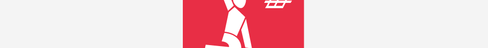 Icon Basketball